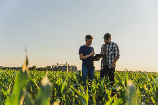 istockphoto-1451084434-612x612